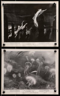 4r1424 FANTASIA 2 8x10 stills 1942 spirits in cemetery from Night on Bald Mountain and jellyfish!