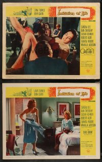 4r0717 IMITATION OF LIFE 2 LCs R1965 sexy Lana Turner, Sandra Dee, from Fannie Hurst novel!