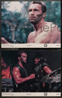4r0247 PREDATOR 8 color 11x14 stills 1987 Arnold Schwarzenegger sci-fi, like nothing on Earth!