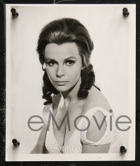 4r1151 CLAIRE BLOOM 7 from 7.25x9.25 to 8x10 stills 1960s great portraits of the English actress!