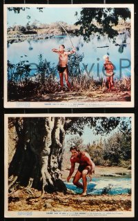 4r0877 TARZAN GOES TO INDIA 8 color English FOH LCs 1962 Jock Mahoney as the King of the Jungle!