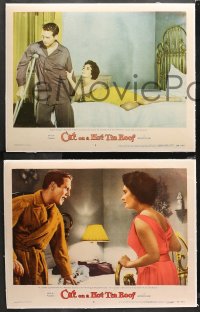 4r0414 CAT ON A HOT TIN ROOF 6 linen LCs 1958 Elizabeth Taylor as Maggie the Cat, Paul Newman, Ives!
