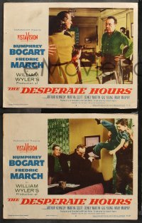 4r0419 DESPERATE HOURS 6 LCs 1955 Humphrey Bogart, Fredric March, directed by William Wyler!