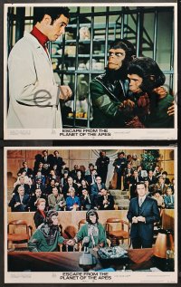 4r0467 ESCAPE FROM THE PLANET OF THE APES 5 LCs 1971 Roddy McDowall, Kim Hunter, Dillman, Montalban!