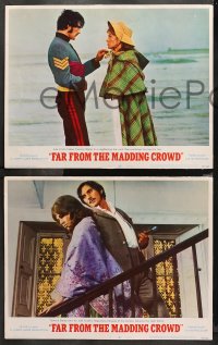 4r0114 FAR FROM THE MADDING CROWD 8 LCs 1968 Julie Christie, Terence Stamp, Peter Finch!