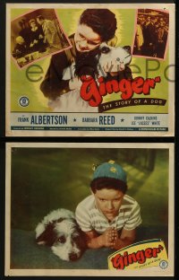 4r0138 GINGER 8 LCs 1947 Frank Albertson & Barbara Reed in the story of a dog!