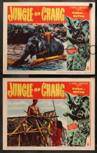 4r0177 JUNGLE OF CHANG 8 LCs 1951 Man och Kvinna, filmed midst the perils of wildest Siam!