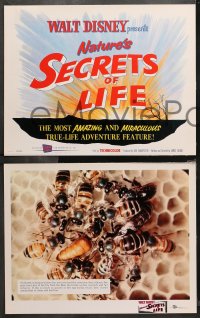 4r0279 SECRETS OF LIFE 8 LCs 1956 Disney's most amazing & miraculous True Life Adventure feature!