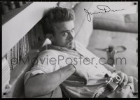 4s0272 JAMES DEAN 24x34 English commercial poster 2003 great close-up image reclining with camera!