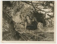 4w1689 TARZAN & HIS MATE 7.5x10 still 1934 great image of Maureen O'Sullivan & Cheeta in tree!