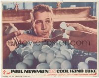 4w0453 COOL HAND LUKE LC #8 1967 great close up of Paul Newman in classic egg eating scene!