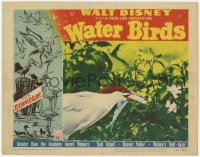 4w0862 WATER BIRDS LC #2 1952 Walt Disney True-Life, great c/u of bird with fish in its mouth!