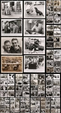 4x0753 LOT OF 164 8X10 STILLS 1960s-1990s great scenes from a variety of different movies!