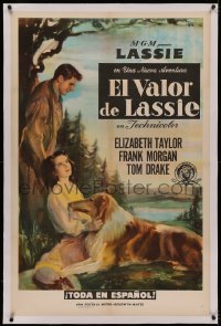 4y0058 COURAGE OF LASSIE linen Spanish/US 1sh 1946 artwork of Elizabeth Taylor with famous canine!