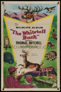 5d1218 WHITETAIL BUCK 1sh 1955 RKO nature documentary, art of deer & forest animals!