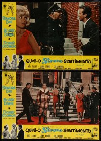 5j0785 THAT FUNNY FEELING group of 8 Italian 19x27 pbustas 1965 sexy Sandra Dee, Bobby Darin, O'Connor!