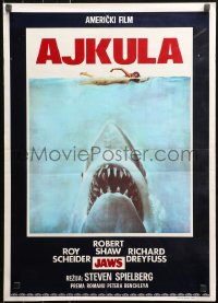 5j1107 JAWS Yugoslavian 20x28 1975 Spielberg's classic man-eating shark attacking swimmer, Ajkula!