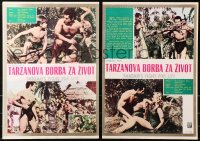 5j1002 TARZAN'S FIGHT FOR LIFE group of 4 Yugoslavian LCs 1958 Gordon Scott, sexy Eve Brent!