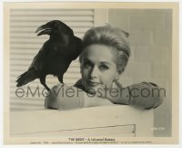 5k0051 BIRDS candid 8x10 still 1963 Hitchcock, posed portrait of Tippi Hedren with raven on shoulder!