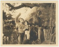 5k0611 TARZAN & HIS MATE deluxe 8x10 still 1934 Maureen O'Sullivan & Johnny Weissmuller by elephant!