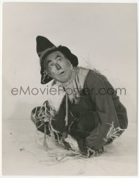5k0690 WIZARD OF OZ deluxe 7.75x9.25 still 1939 Ray Bolger as Scarecrow who only wants a brain!