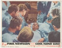 5k0962 COOL HAND LUKE LC #5 1967 beaten Paul Newman on his bunk with all the men gathered around!