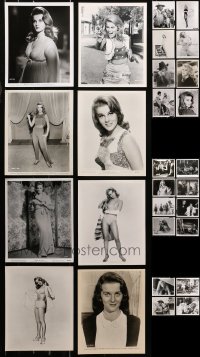 5m0264 LOT OF 36 ANN-MARGRET 8X10 STILLS AND RE-STRIKE & REPRO PHOTOS 1960s-1980s sexy portraits!