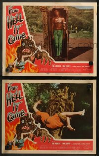 5t0707 FROM HELL IT CAME 2 LCs 1957 classic border art, wild images of native witchcraft rituals!