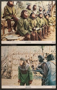 5t0049 BATTLE FOR THE PLANET OF THE APES 8 color 11x14 stills 1973 Roddy McDowall, sci-fi sequel!