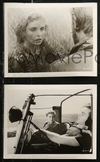 5t1064 FIVE 16 8x10 stills 1951 post-apocalyptic sci-fi about 5 survivors, but only one woman!