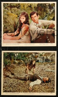 5t0845 GREEN MANSIONS 8 color 8x10 stills 1959 lovers Audrey Hepburn & Anthony Perkins in jungle!