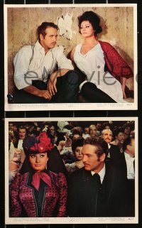 5t0871 LADY L 7 color 8x10 stills 1966 great images of sexy Sophia Loren, Paul Newman & David Niven!