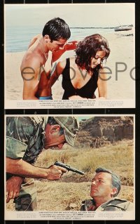 5t0822 LOST COMMAND 10 color 8x10 stills 1966 Anthony Quinn, Alain Delon, George Segal