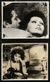 5t0988 MARRIAGE ITALIAN STYLE 26 8x10 stills 1965 de Sica, sexy Sophia Loren, Marcello Mastroianni