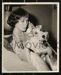 5t1317 PHYLLIS KIRK 7 TV 8x10 stills 1950s on The Thin Man set posing and with terrier dog!