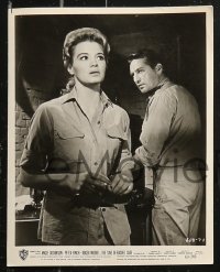 5t1106 SINS OF RACHEL CADE 14 8x10 stills 1960 great images of Angie Dickinson, Peter Finch!
