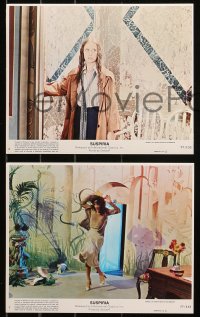 5t0916 SUSPIRIA 3 8x10 mini LCs 1977 classic Dario Argento horror, Jessica Harper, Valli!