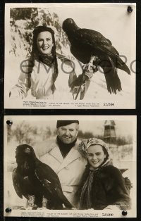 5t1253 VALLEY OF THE EAGLES 9 8x10 stills 1952 Terence Young, Nadia Gray, English Arctic thriller!