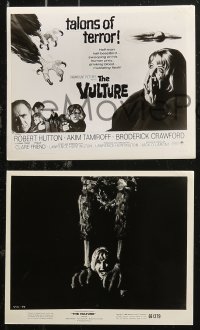 5t1001 VULTURE 24 8x10 stills 1967 wacky talons of terror swooping on its human prey, cool images!