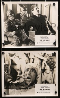 5t0953 MUMMY 8 English FOH LCs R1960s Hammer horror, different image of monster Christopher Lee!