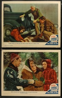 5t0459 COURAGE OF LASSIE 5 LCs 1946 great images of Elizabeth Taylor & the famous canine star!