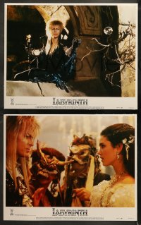5t0168 LABYRINTH 8 LCs 1986 Jim Henson, wild images of David Bowie, Jennifer Connelly!