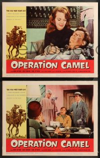 5t0219 OPERATION CAMEL 8 LCs 1961 Nora Hayden, Louis Renard, Carol Ottosen, wacky & sexy!