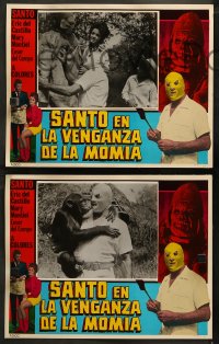 5t0256 SANTO EN LA VENGANZA DE LA MOMIA 8 Spanish/US LCs 1971 masked luchador Santo!