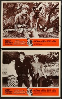 5t0283 SMOKE 8 LCs 1970 Earl Holliman, teen Ron Howard, Jacqueline Scott, cool German Shepherd!