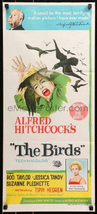 5x0445 BIRDS Aust daybill 1963 director Alfred Hitchcock shown, Tippi Hedren, attack artwork!