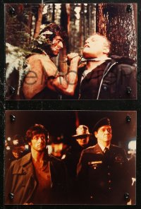 5x0063 FIRST BLOOD 14 color Dutch from 7.75x10.75 to 8x11 stills 1983 Stallone as John Rambo!