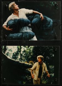 5x0061 KING KONG LIVES 16 color Dutch 7.5x11 stills 1986 cool different images of the huge ape!