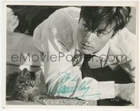 5y0373 ALAIN DELON signed 8x10.25 still 1966 the French leading man with kitten in Lost Command!
