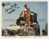 5y0434 DENNY MILLER signed color 8x10 still 1959 with Cheeta the chimpanzee in Tarzan, the Ape Man!